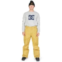DC Shoes Men's Banshee Pants