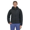Patagonia Women's Down Sweater Hoody
