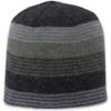 Pistil Chase Beanie