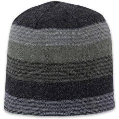 Pistil Chase Beanie